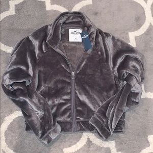 NWT Hollister Jacket